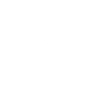 Carrelli elevatori